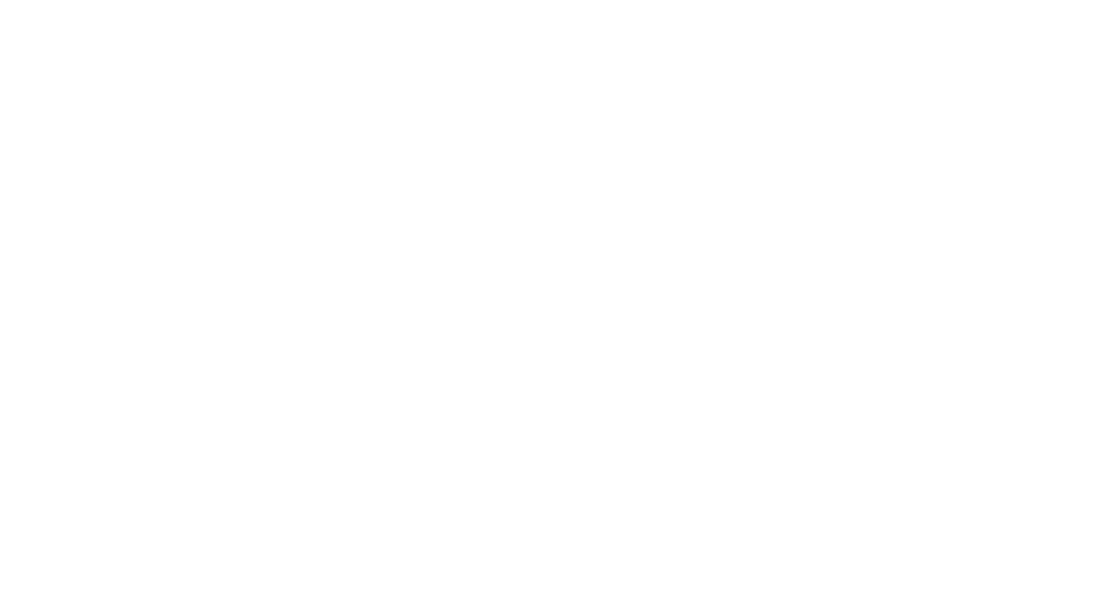 DAJANI STORE